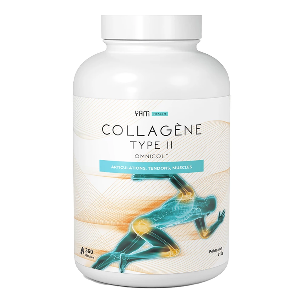 Collagène Type II