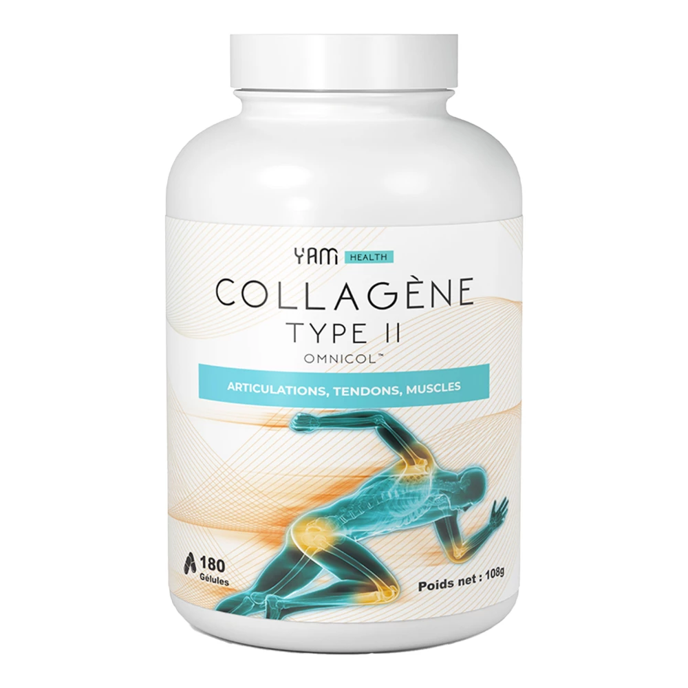 Collagène Type II