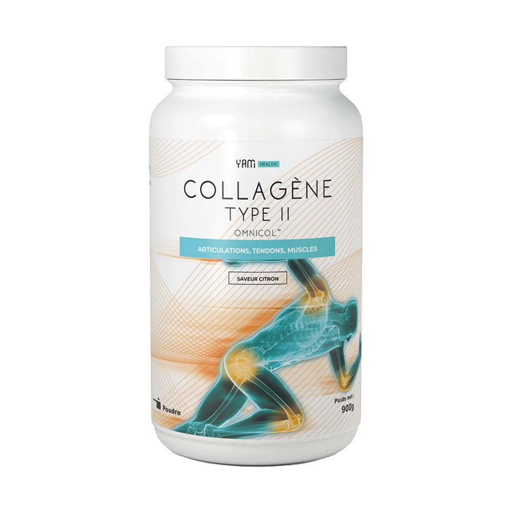 Collagène Type II
